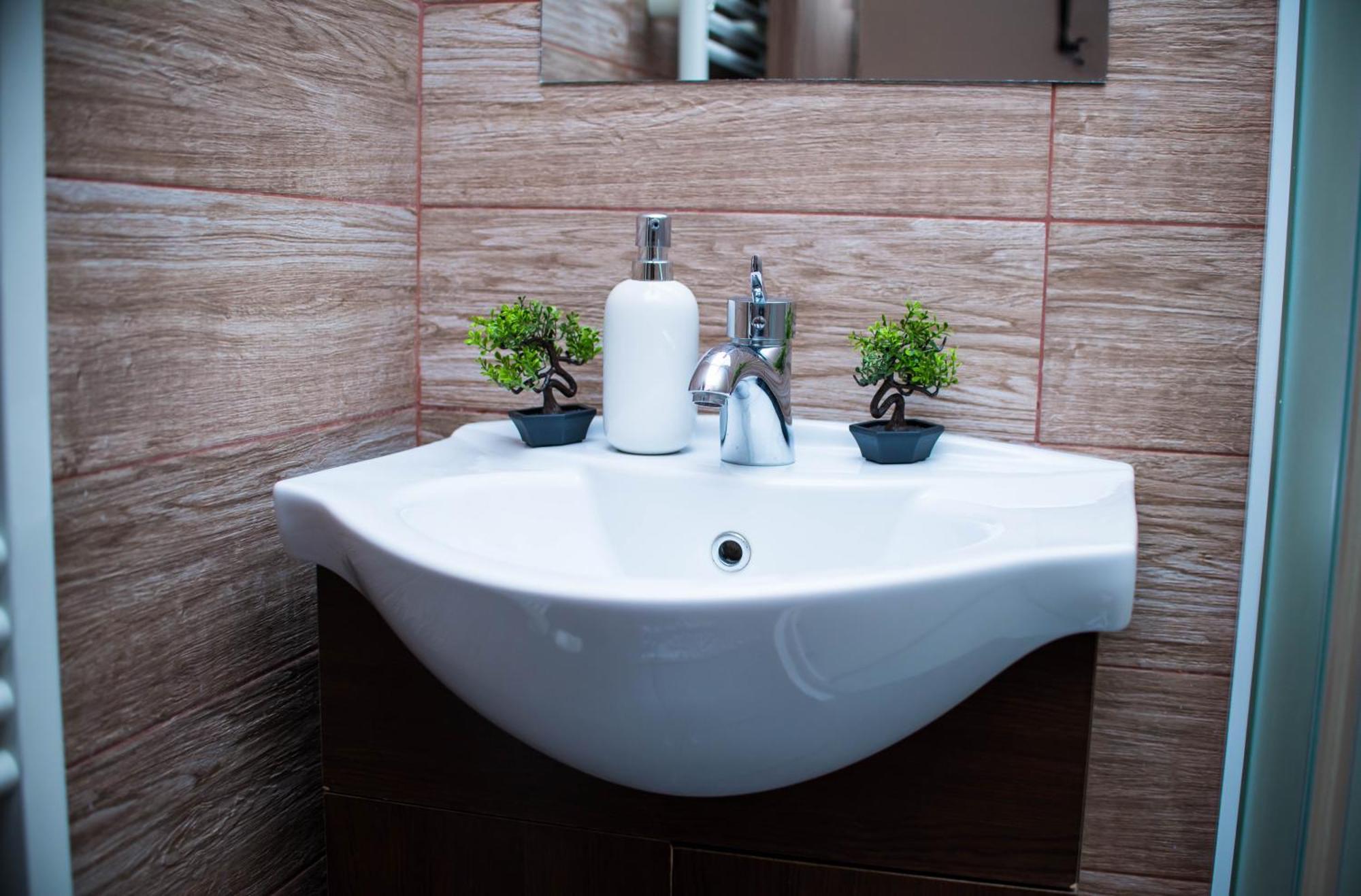 Studio Sonia - Tordosan Central - #1 Sibiu Ngoại thất bức ảnh
